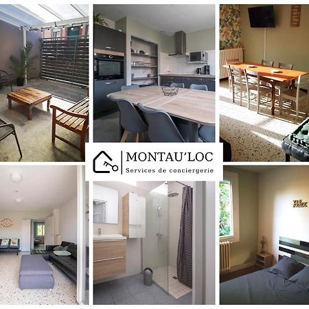 La Cahute, Appartement T2 Avec Jardin Ou Appartement Familial T6 Montauban Eksteriør billede