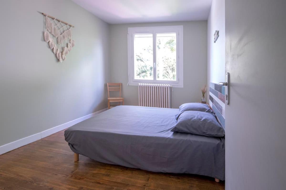 La Cahute, Appartement T2 Avec Jardin Ou Appartement Familial T6 Montauban Eksteriør billede