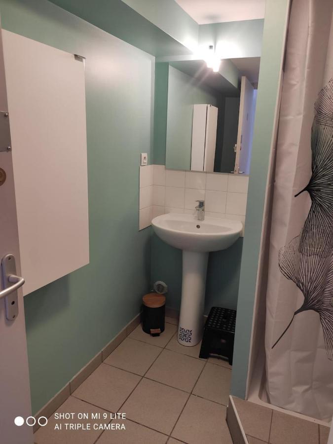 La Cahute, Appartement T2 Avec Jardin Ou Appartement Familial T6 Montauban Eksteriør billede
