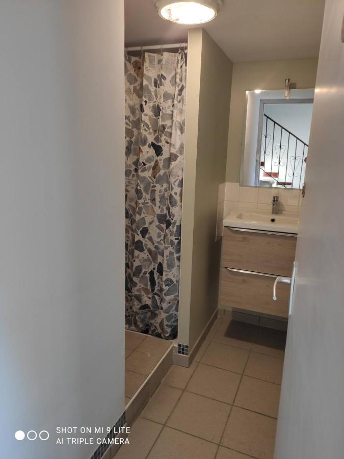 La Cahute, Appartement T2 Avec Jardin Ou Appartement Familial T6 Montauban Eksteriør billede